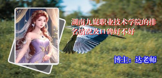 湖南九嶷职业技术学院的排名情况及口碑好不好