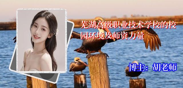 芜湖高级职业技术学校的校园环境及师资力量