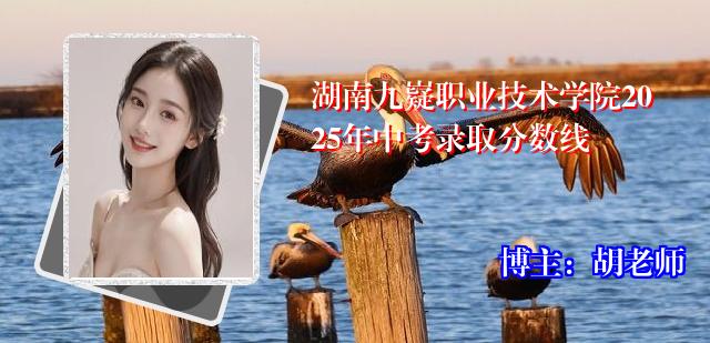 湖南九嶷职业技术学院2025年中考录取分数线