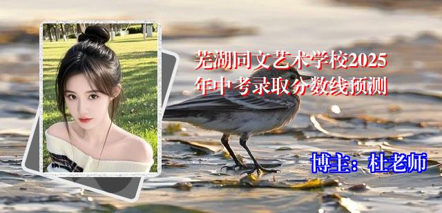 芜湖同文艺术学校2025年中考录取分数线预测