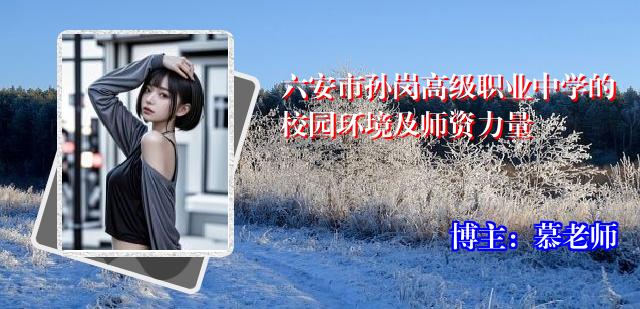 六安市孙岗高级职业中学的校园环境及师资力量