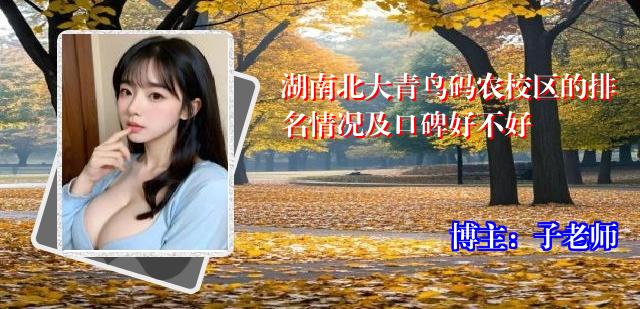 湖南北大青鸟码农校区的排名情况及口碑好不好