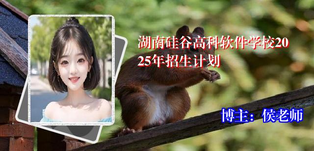 湖南硅谷高科软件学校2025年招生计划