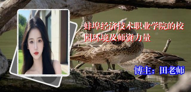 蚌埠经济技术职业学院的校园环境及师资力量