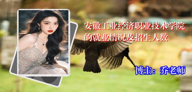 安徽工业经济职业技术学院的就业情况及招生人数