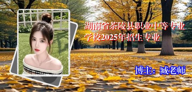 湖南省茶陵县职业中等专业学校2025年招生专业