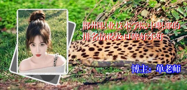 郴州职业技术学院中职部的排名情况及口碑好不好