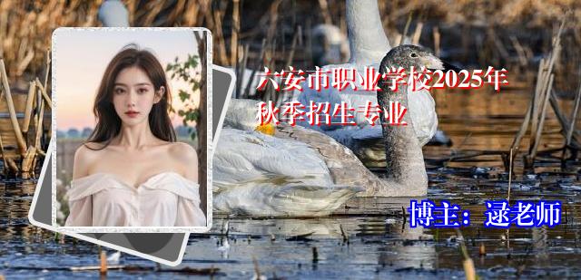 六安市职业学校2025年秋季招生专业