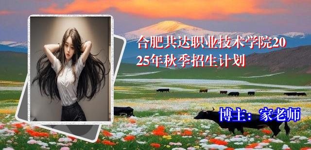 合肥共达职业技术学院2025年秋季招生计划