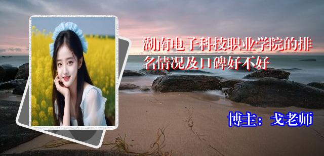 湖南电子科技职业学院的排名情况及口碑好不好