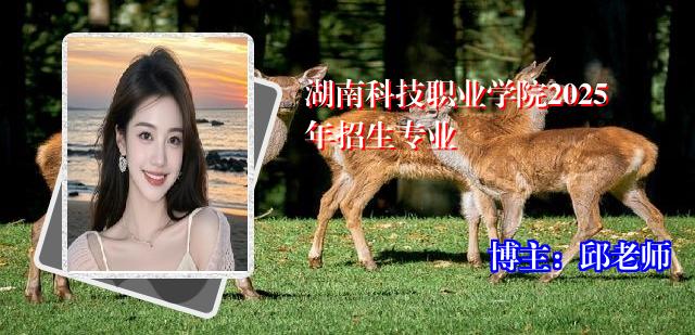 湖南科技职业学院2025年招生专业