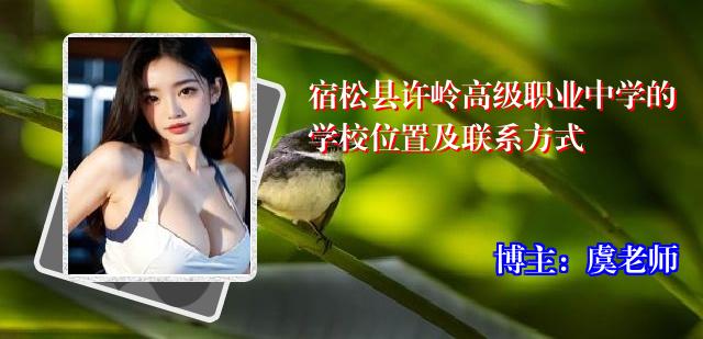 宿松县许岭高级职业中学的学校位置及联系方式