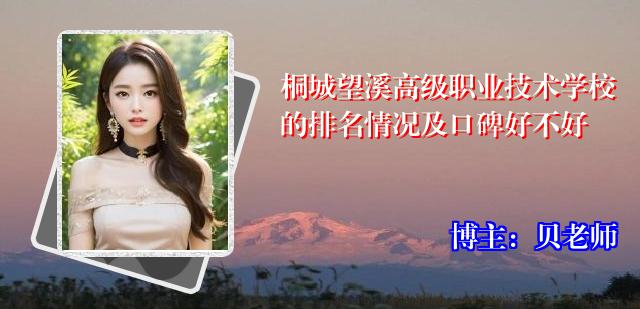 桐城望溪高级职业技术学校的排名情况及口碑好不好