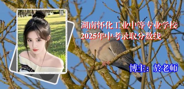 湖南怀化工业中等专业学校2025年中考录取分数线