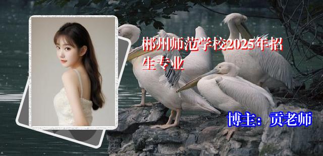 郴州师范学校2025年招生专业