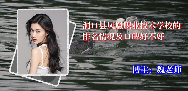 洞口县凤凰职业技术学校的排名情况及口碑好不好