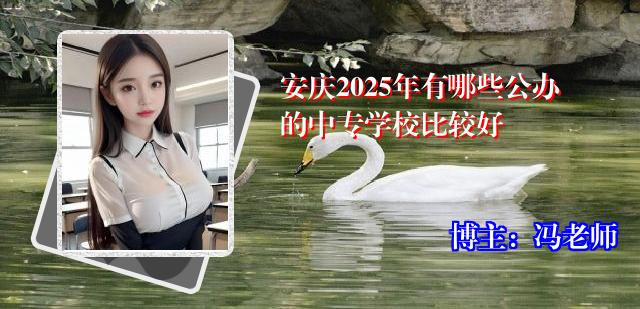 安庆2025年有哪些公办的中专学校比较好