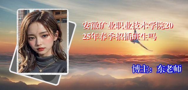安徽矿业职业技术学院2025年春季招插班生吗