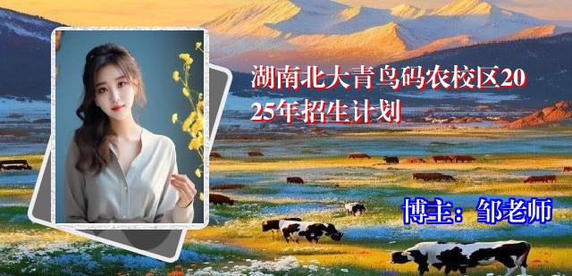 湖南北大青鸟码农校区2025年招生计划