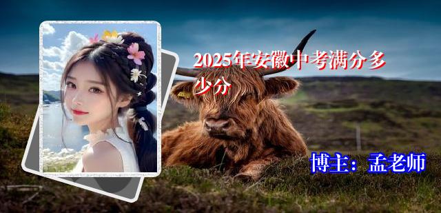 2025年安徽中考满分多少分