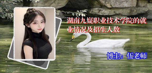 湖南九嶷职业技术学院的就业情况及招生人数
