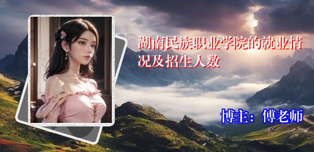 湖南民族职业学院的就业情况及招生人数