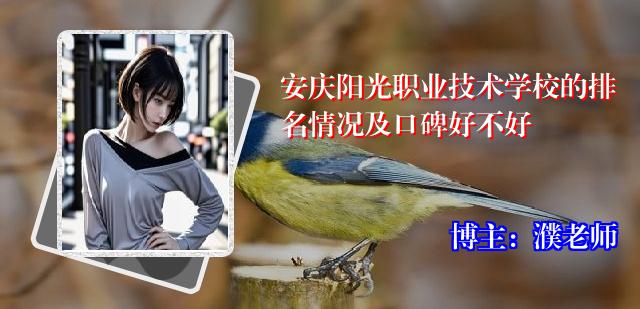 安庆阳光职业技术学校的排名情况及口碑好不好