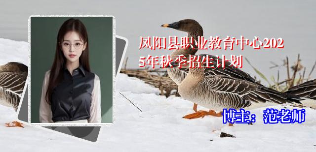 凤阳县职业教育中心2025年秋季招生计划