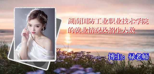 湖南国防工业职业技术学院的就业情况及招生人数
