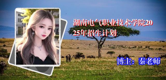 湖南电气职业技术学院2025年招生计划