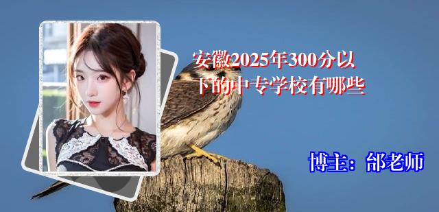 安徽2025年300分以下的中专学校有哪些