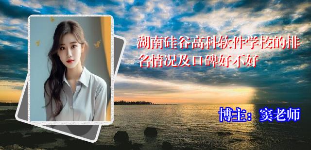 湖南硅谷高科软件学校的排名情况及口碑好不好