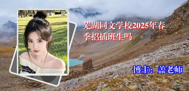 芜湖同文学校2025年春季招插班生吗