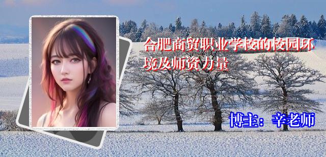 合肥商贸职业学校的校园环境及师资力量