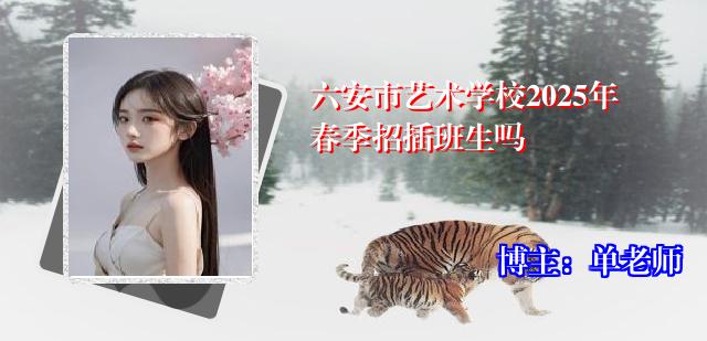 六安市艺术学校2025年春季招插班生吗