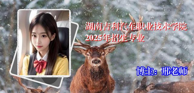 湖南吉利汽车职业技术学院2025年招生专业