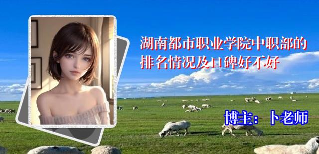 湖南都市职业学院中职部的排名情况及口碑好不好
