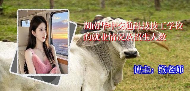 湖南华中交通科技技工学校的就业情况及招生人数