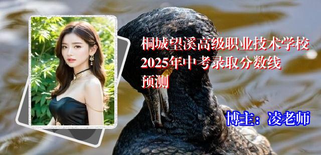 桐城望溪高级职业技术学校2025年中考录取分数线预测