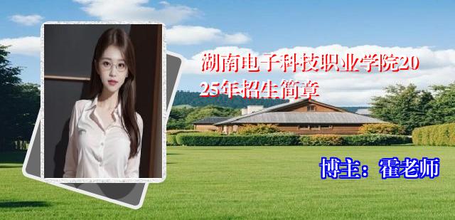 湖南电子科技职业学院2025年招生简章