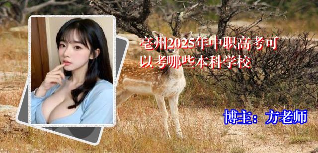 亳州2025年中职高考可以考哪些本科学校