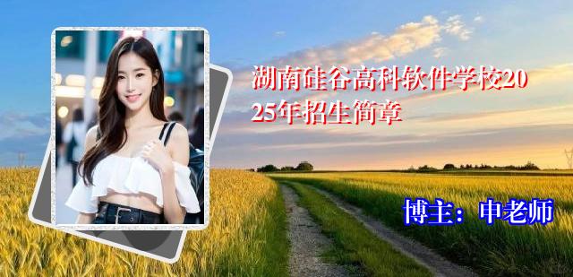 湖南硅谷高科软件学校2025年招生简章