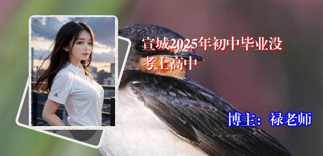 宣城2025年初中毕业没考上高中
