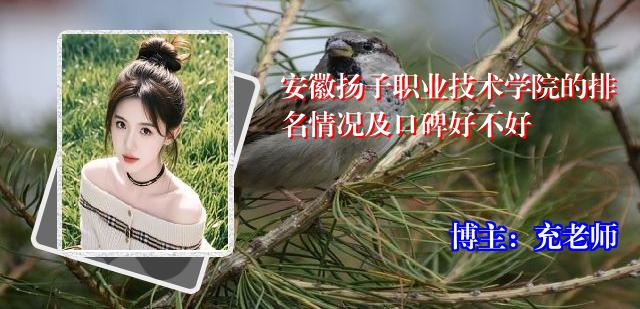 安徽扬子职业技术学院的排名情况及口碑好不好