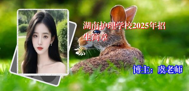 湖南护理学校2025年招生简章