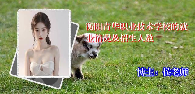 衡阳青华职业技术学校的就业情况及招生人数