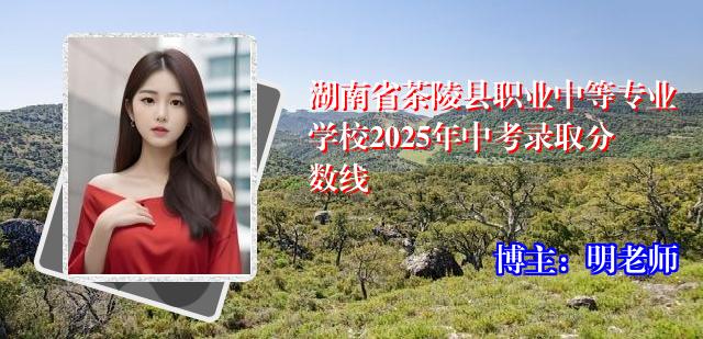 湖南省茶陵县职业中等专业学校2025年中考录取分数线