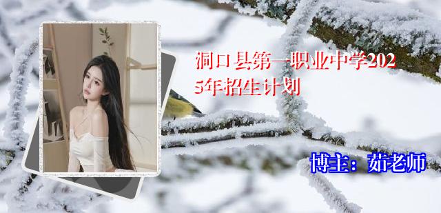 洞口县第一职业中学2025年招生计划