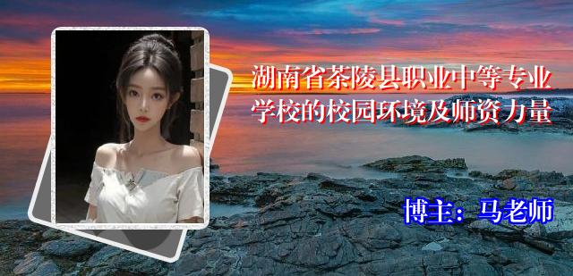 湖南省茶陵县职业中等专业学校的校园环境及师资力量