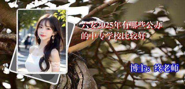 六安2025年有哪些公办的中专学校比较好